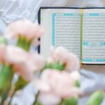 person holding white and pink flowers