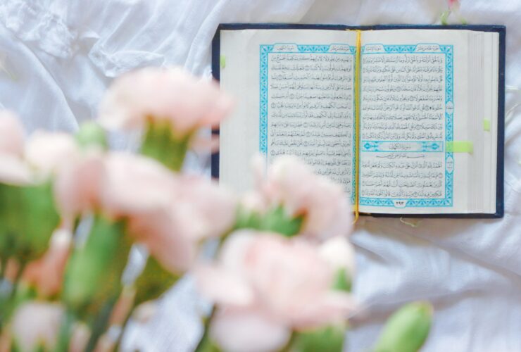 person holding white and pink flowers