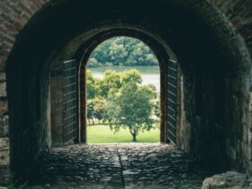 brown brick tunnel with green trees