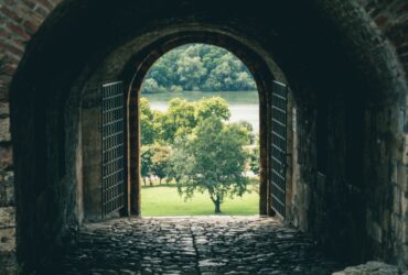 brown brick tunnel with green trees