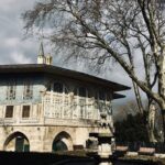 bare tree beside whit building