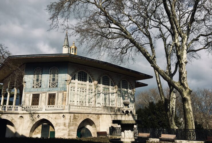 bare tree beside whit building