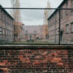 bare tree near brown buildings