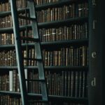 library shelf near black wooden ladder