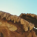 brown rock formation at daytime
