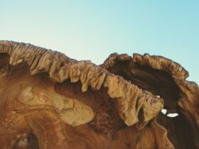 brown rock formation at daytime