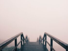 black wooden stairway covered with fog