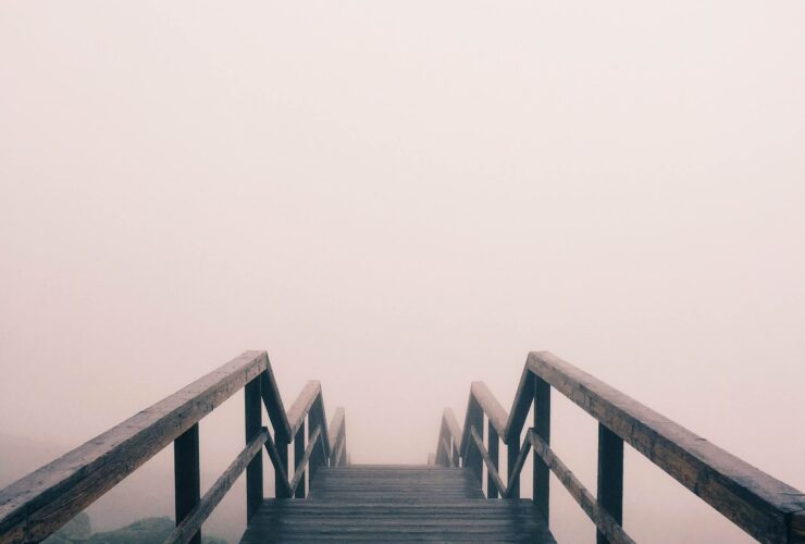 black wooden stairway covered with fog