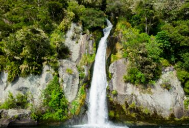 waterfalls surrounded with green-leafed trees during daytime