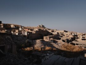 brown and white concrete houses during daytime