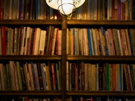brown wooden book shelves with books