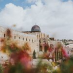 brown dome building during daytime