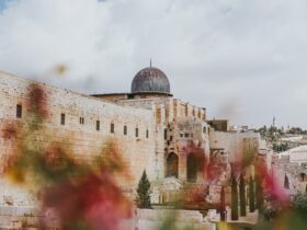 brown dome building during daytime