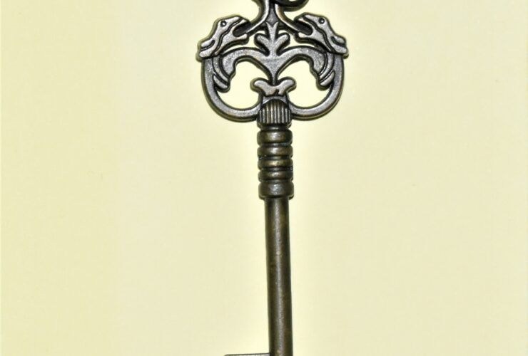 grey skeleton key