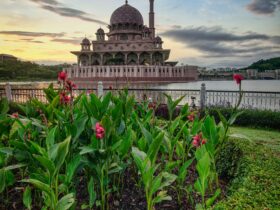 brown dome building viewing pink flower garden under blue and white skies
