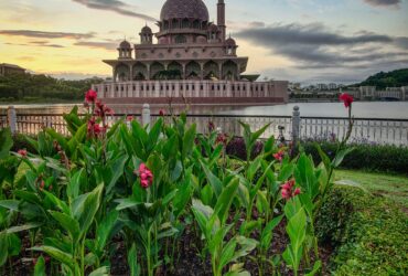 brown dome building viewing pink flower garden under blue and white skies