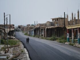 two persons walking on gray raod