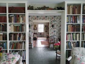 assorted-title book lot on bookshelves