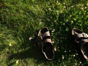 black and brown leather sandals on green grass
