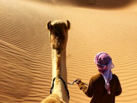 person walking beside camel
