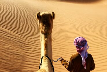 person walking beside camel