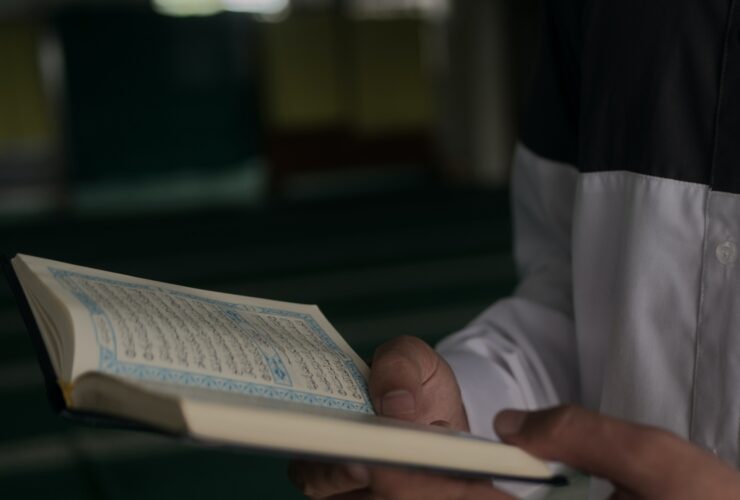 person in white long sleeve shirt reading book