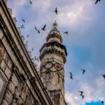 low angle photography of flock of birds flying over the building during daytime