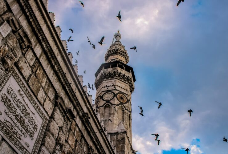 low angle photography of flock of birds flying over the building during daytime