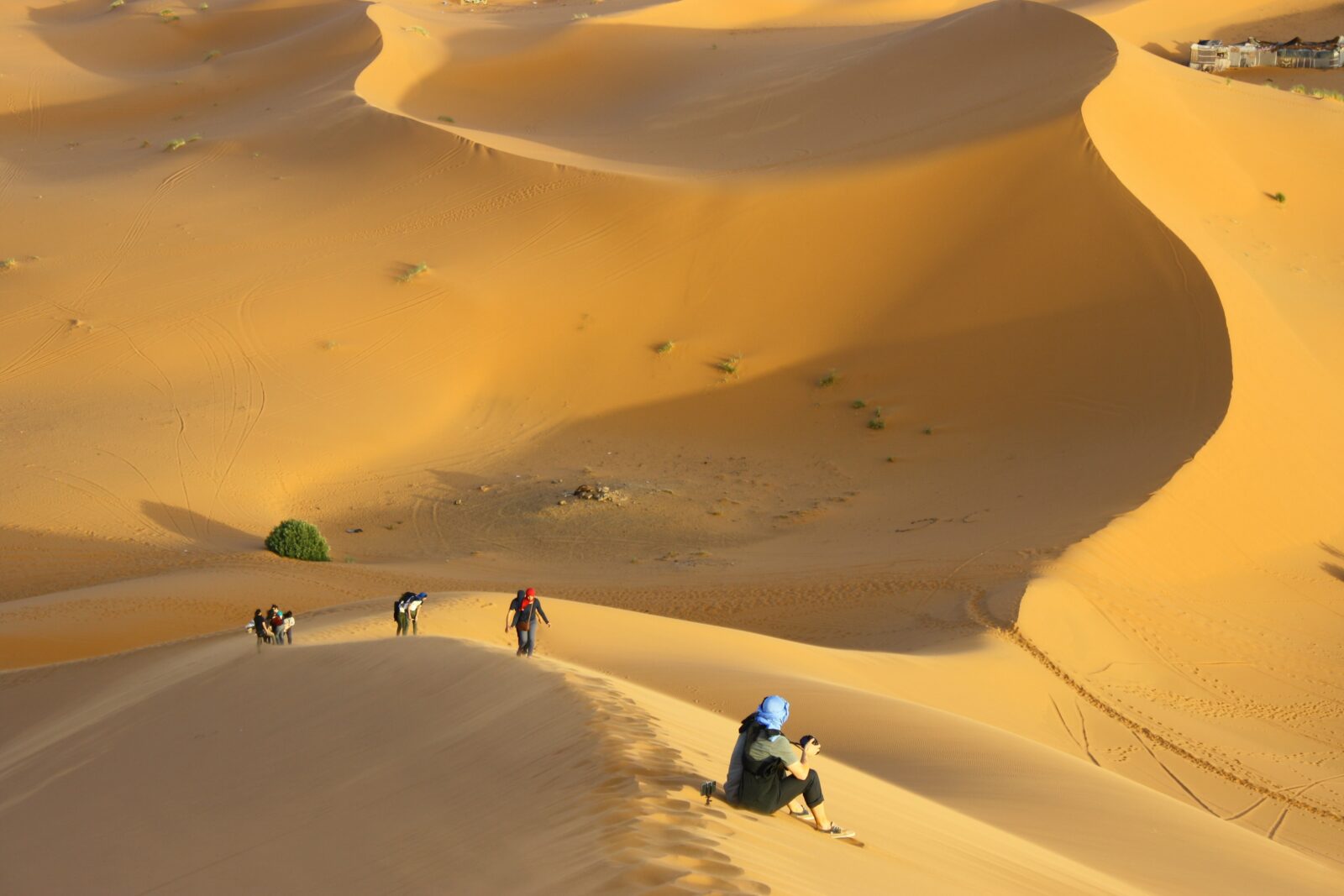 group of people standing on desert