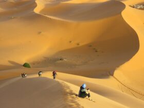 group of people standing on desert