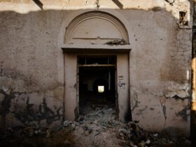 brown wooden door on white concrete building