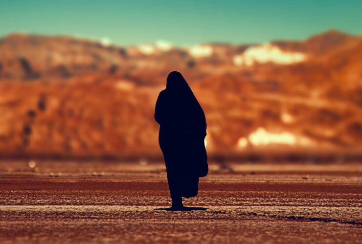 silhouette of person walking on ground at daytime