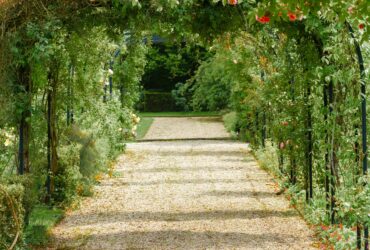 concrete pathway in flower garden with no people