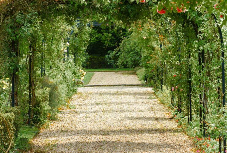concrete pathway in flower garden with no people
