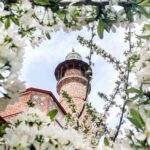 worms eye view photography of tower