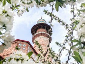 worms eye view photography of tower