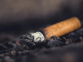 closeup photo of cigarette butt