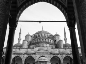 gray scale photo of dome building