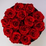 red roses