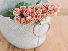 shallow focus photography of bouquet of pink flower in white bucket