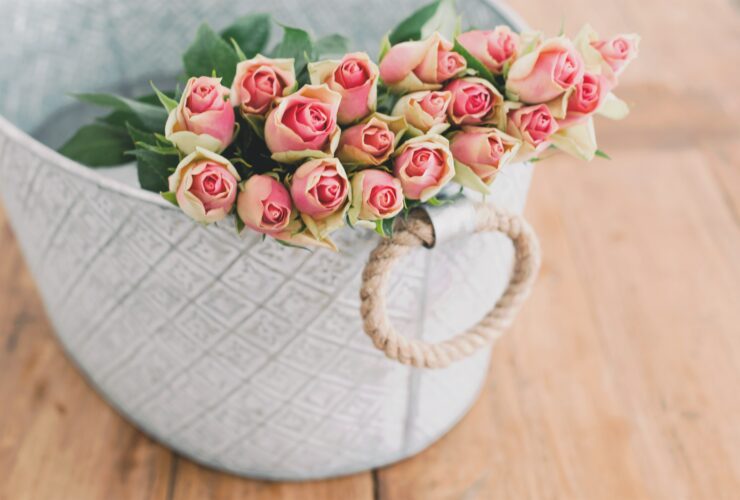 shallow focus photography of bouquet of pink flower in white bucket
