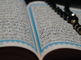 white and blue book page