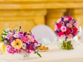 selective focus photography of assorted-color petaled flowers in vase