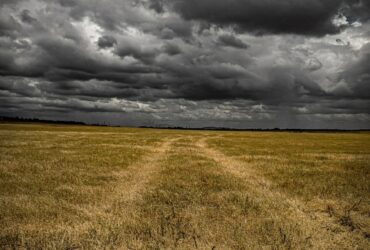 brown field during daytime
