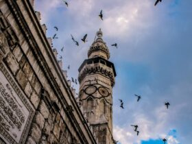 low angle photography of flock of birds flying over the building during daytime