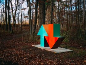 red and blue arrow sign surrounded by brown trees
