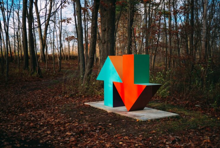 red and blue arrow sign surrounded by brown trees