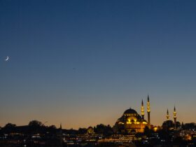 city skyline during night time