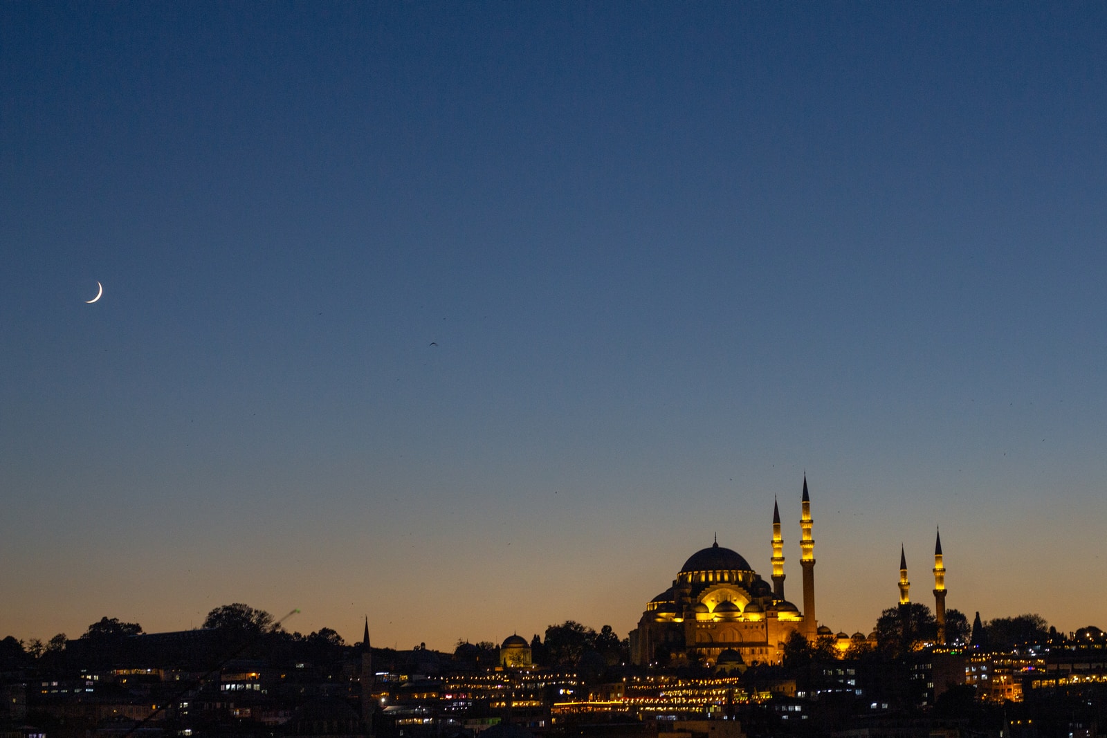 city skyline during night time