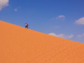 man in black shirt and blue denim jeans walking on brown sand during daytime